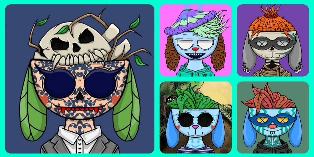 DavyBoy1888's tweet image. Just minted 5 Youmanz x Daturians Nft's &amp;amp; they are absolutley 🔥🔥🔥🔥👏👏👏👏

@DaturiansNFT @YoumanzC 

 #NFT #NFTs #NFTdrop #NFTCommunity #NFTArt #OpenSeaNFT #ETH #Polygon #BAYC #moonbirds