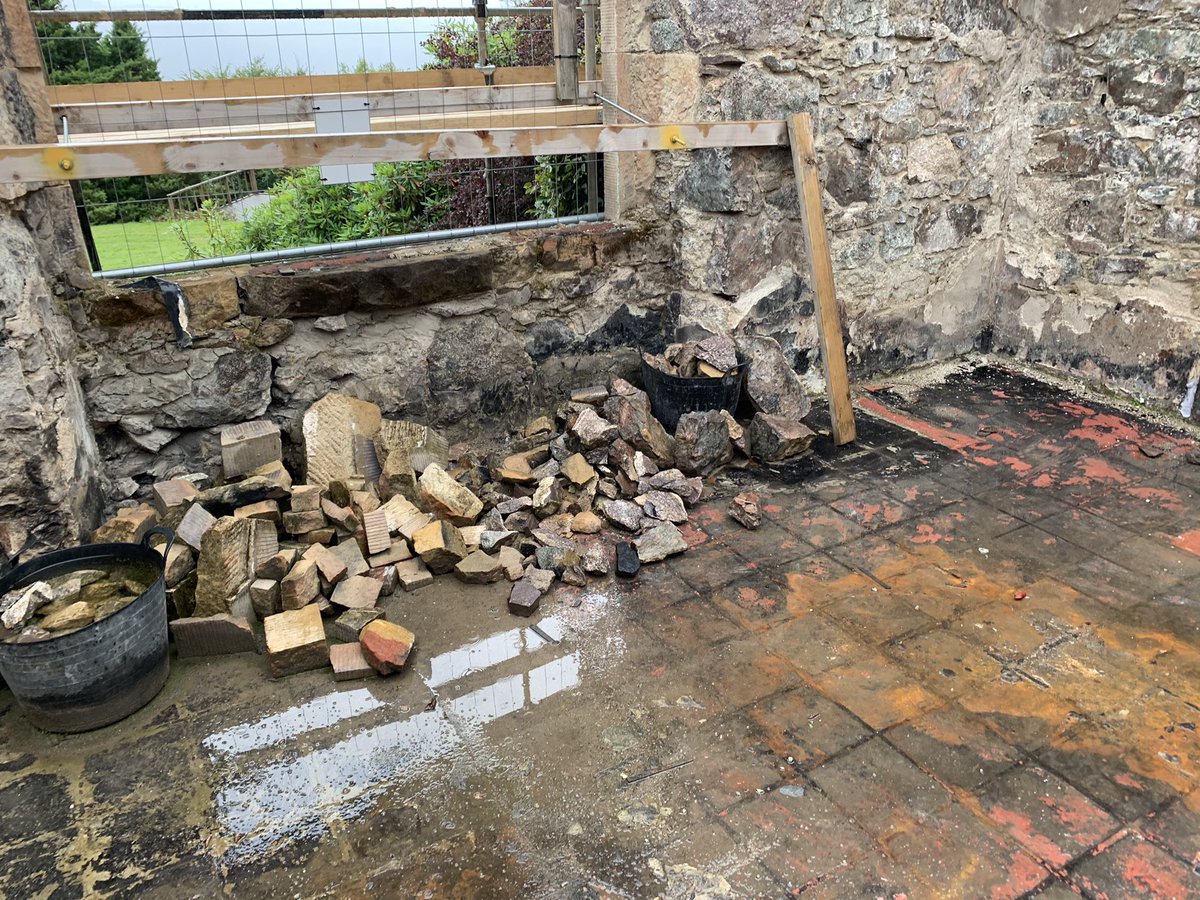 Grant Orino tweet media