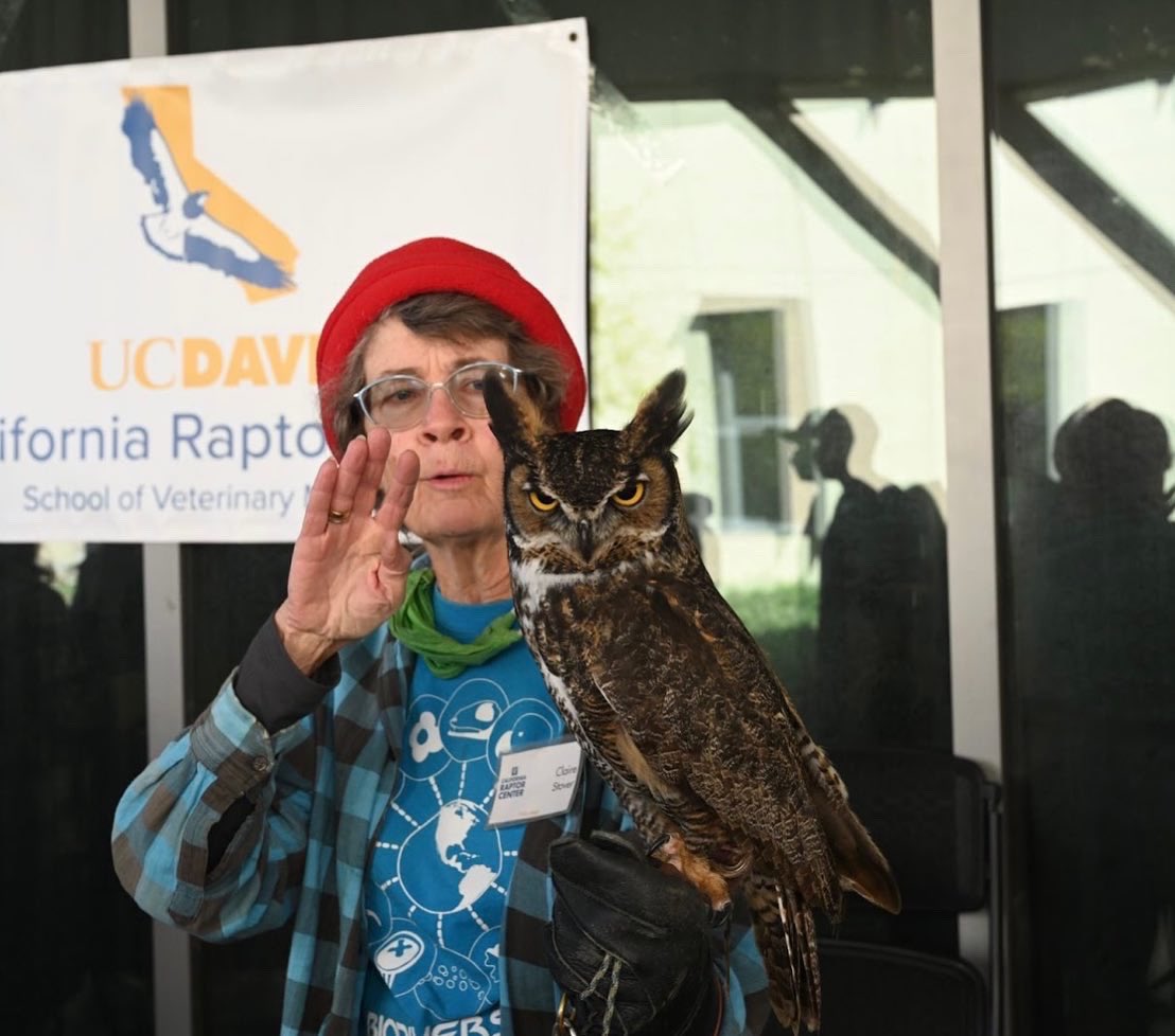 BioDivDay's tweet image. Woah that’s a lot of bones!

Did you play our guessing game yesterday? If so, here are the results:
#1: Paleontology Collection
#2: California Raptor Center
#3: Bohart Museum of Entomology 

How’d you do?

#UCDavis #BiodiversityMuseumDay