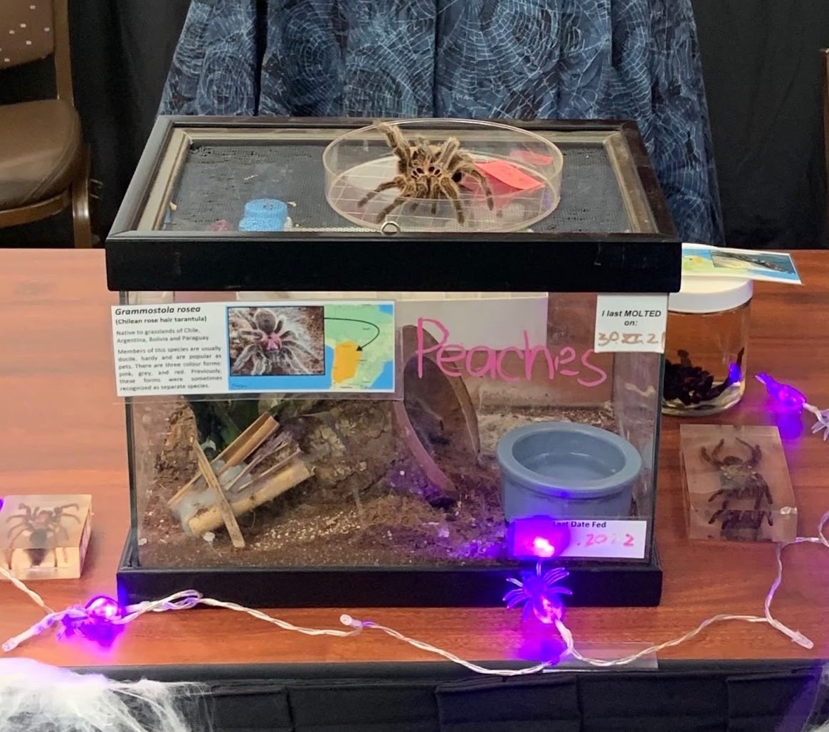 BioDivDay's tweet image. Woah that’s a lot of bones!

Did you play our guessing game yesterday? If so, here are the results:
#1: Paleontology Collection
#2: California Raptor Center
#3: Bohart Museum of Entomology 

How’d you do?

#UCDavis #BiodiversityMuseumDay