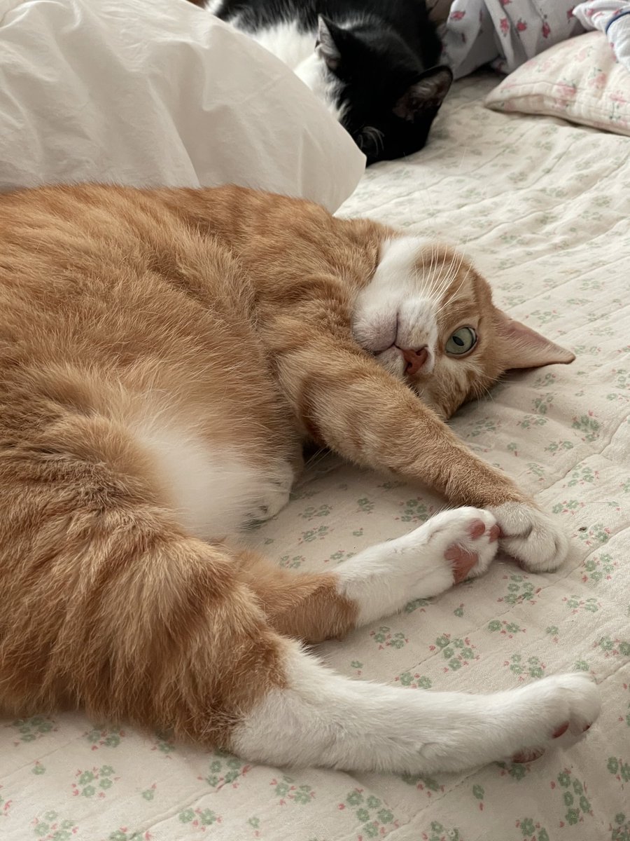 구이삼 tweet media