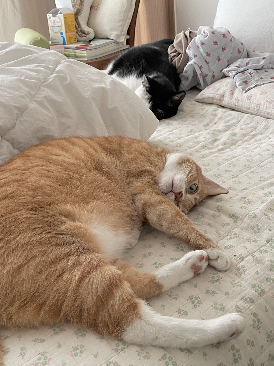 구이삼 tweet media