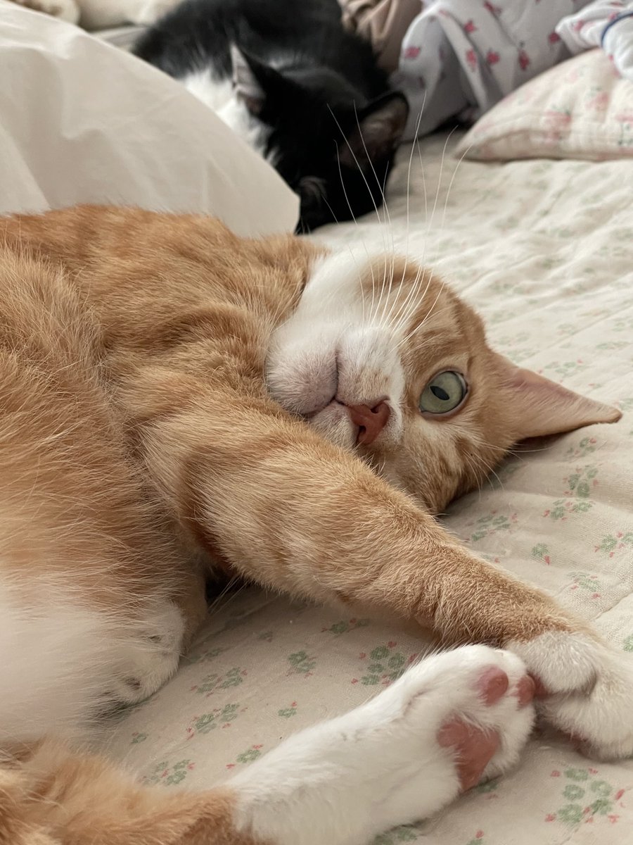 구이삼 tweet media