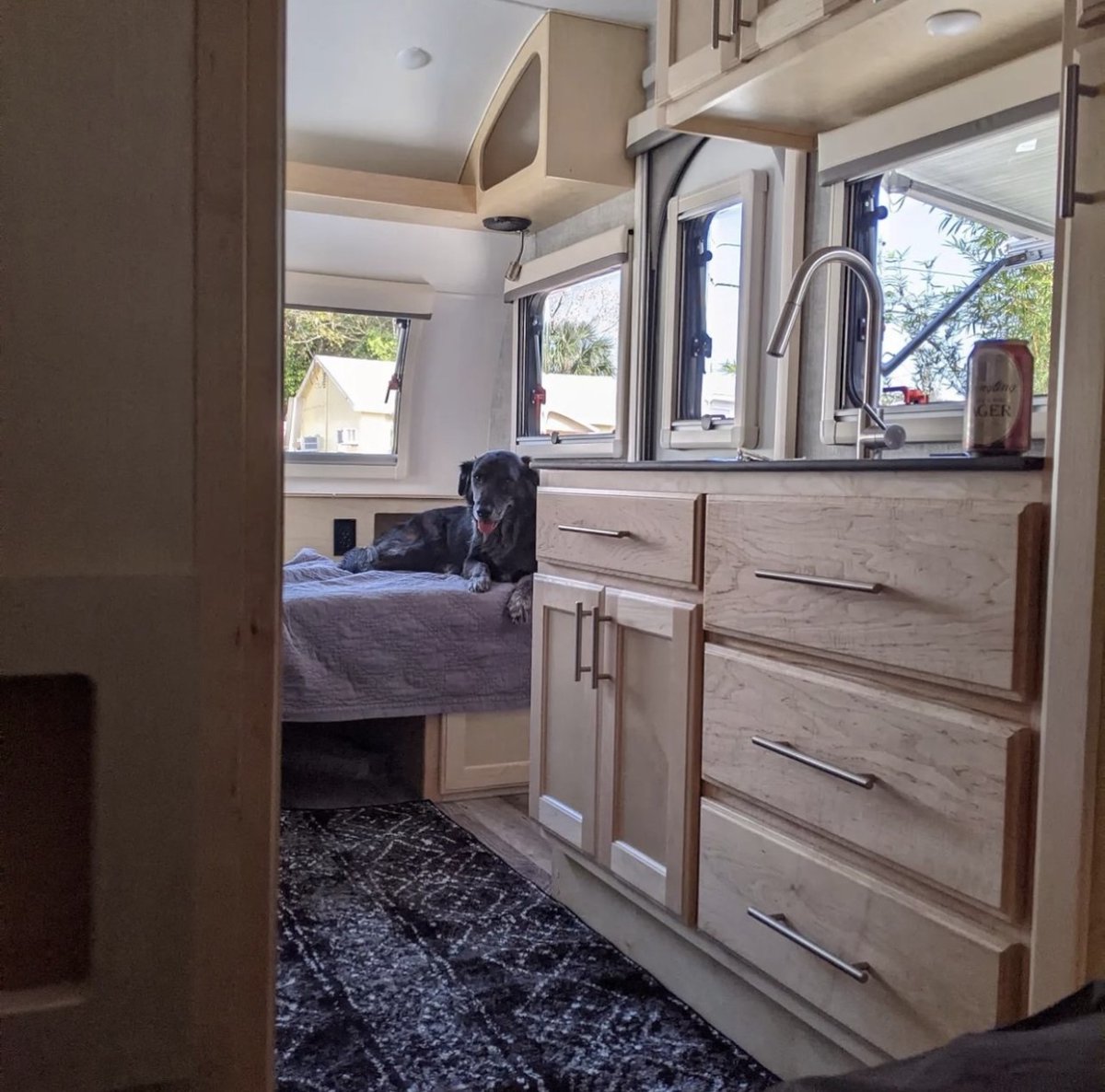 golittleguy's tweet photo. Relaxing in the Little Guy Max!  Share your photos of your furry camping companion for National Pet Week with us using the hashtag #mymaxtrailer on Instagram.

📸  takeiteasyethel https://t.co/3kKFiUUSUx