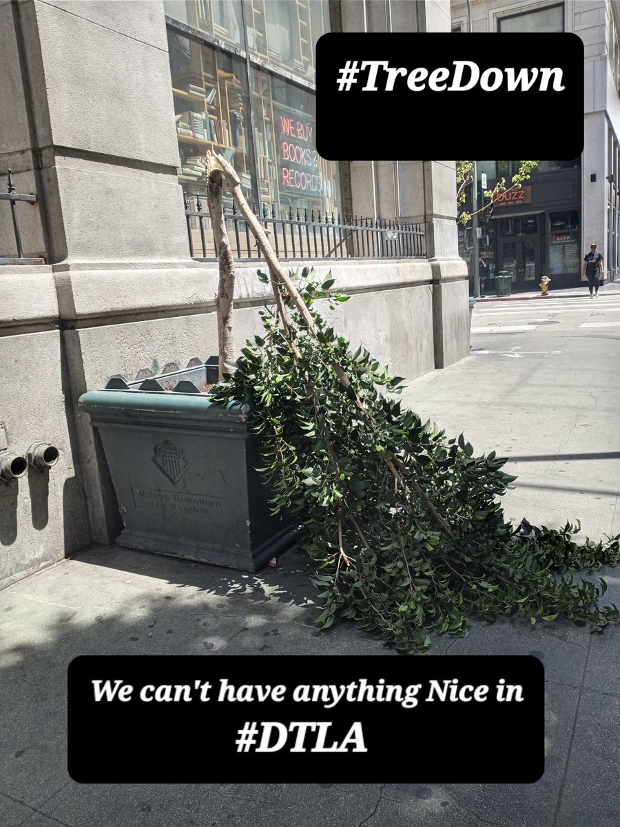 ROBANDHARLEY's tweet photo. I told you some Asshole would Distroy it... We can't have Anything nice. It's Sad....
#DTLA #HistoricCore
#trees #TreeDown
@HistoricCore @LAPDMEU @LAPDHQ @LAPDCentralArea https://t.co/XXo6Q1ww9H
