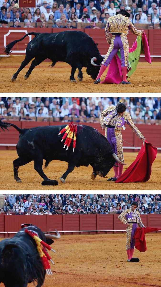 NMorenodeTerry's tweet photo. Que maravilla de torero! https://t.co/FeDHBe8NNC