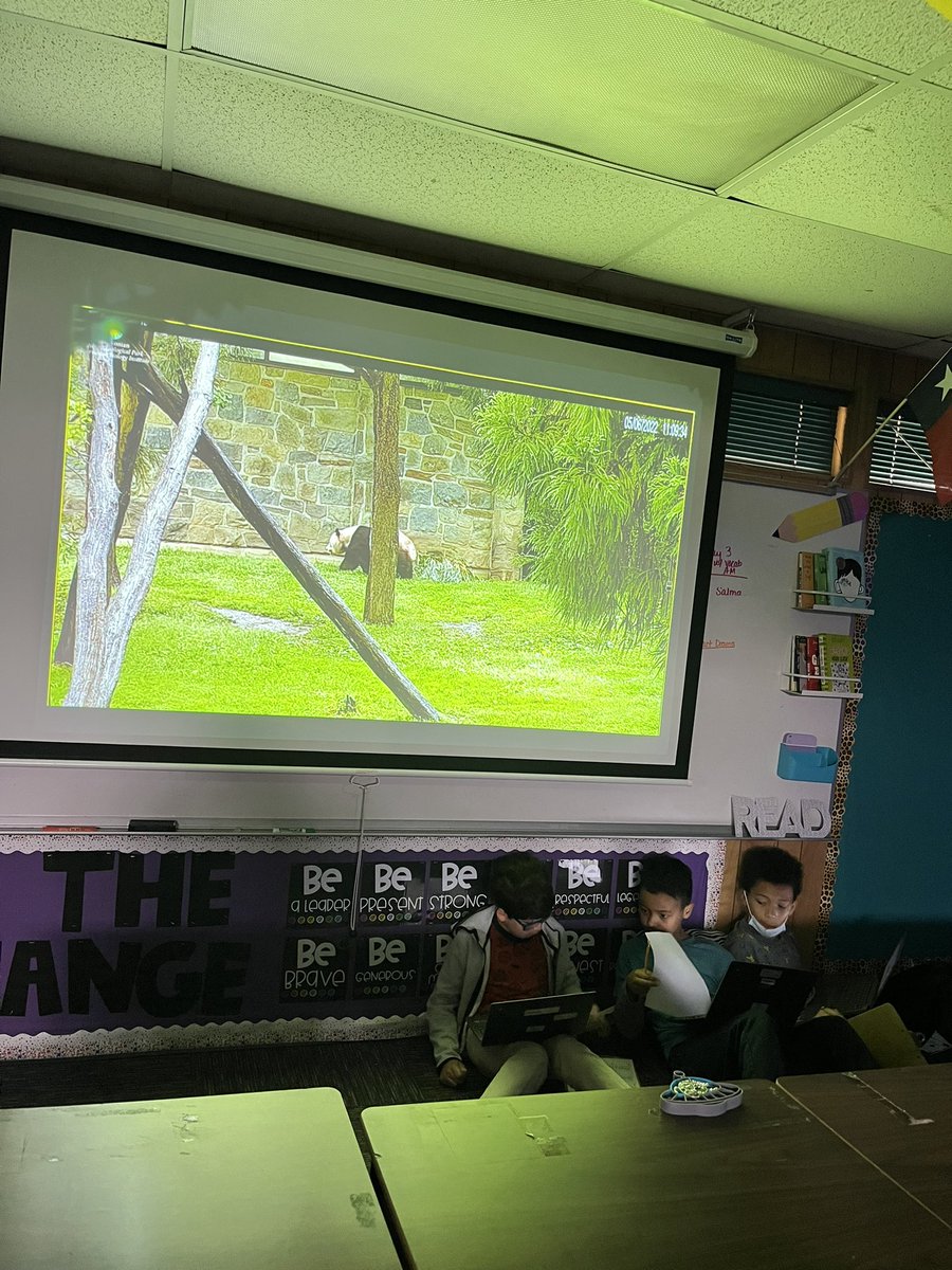 ashleyhann5th's tweet photo. Students completed a THEME ESCAPE ROOM today. They were escaping the zoo, so we thought it was a perfect time to watch the panda cam! #ThisIsCNE #CNEReunited #RootEdColoniesNorth https://t.co/wEEL59N9HG
