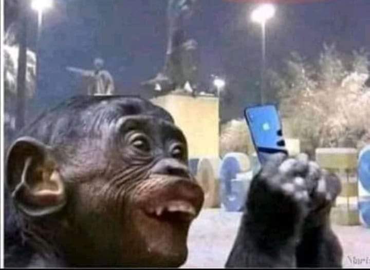ElPrimoAzul's tweet photo. La raza cuando en cuando ve una bola de gente... pal chisme están buenos.. #Chisme #metiche https://t.co/eCdoQEOnVH