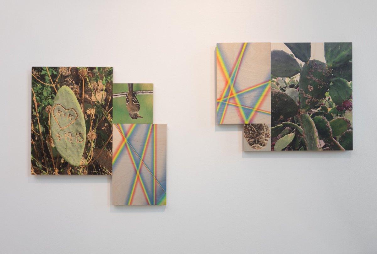 IrishArtsCenter's tweet photo. Saturdays, 1-6pm: Installation, photography, print & drawing, paint & plaster stretch across the four floors of the #newIAC in a conversation between art and the physical space it, and we, inhabit. #TheSpaceWeOccupy closes May 22 > https://t.co/ZvTDUi4nH1 https://t.co/kMP1Hg2oDa