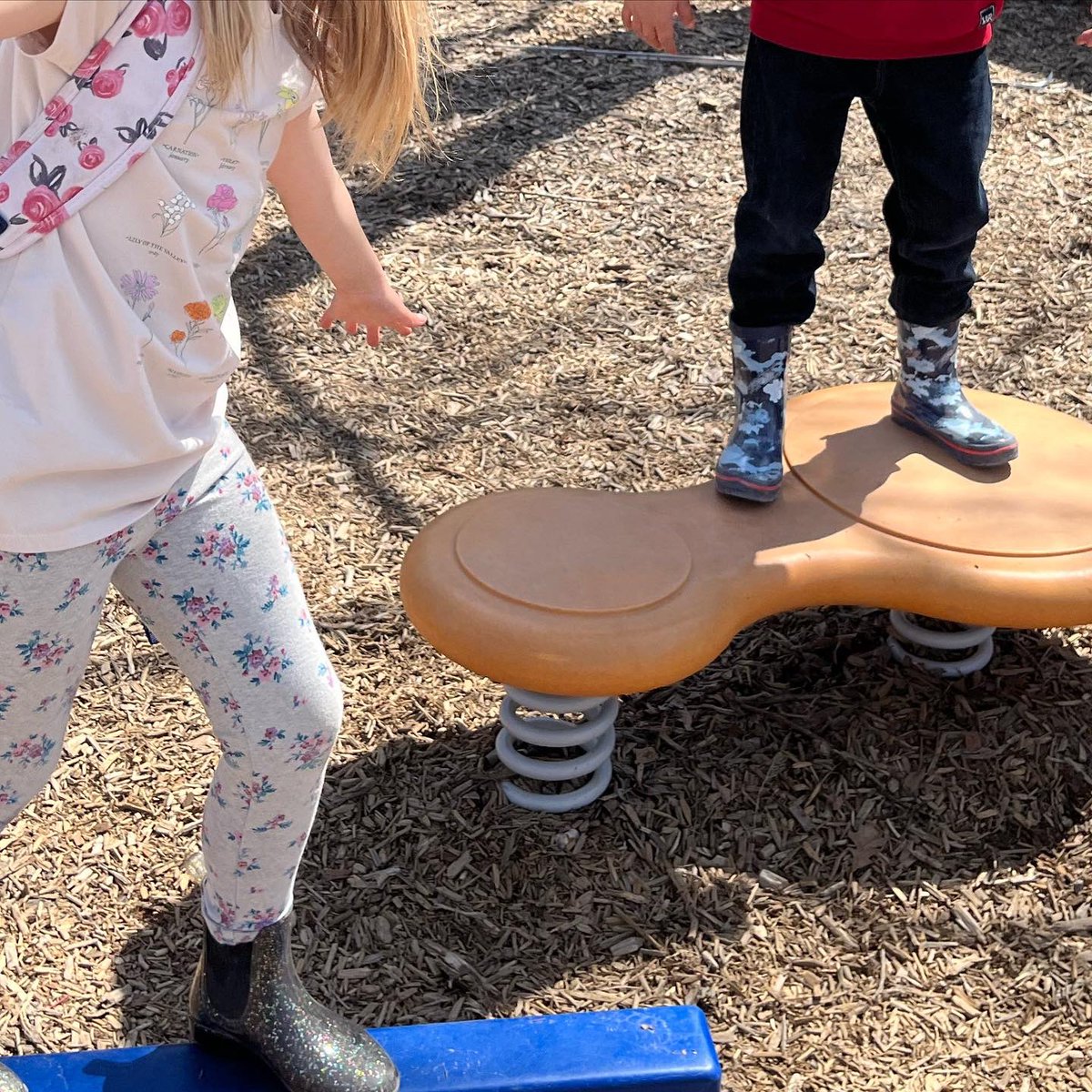 jstewin's tweet photo. @CarpathiaSchool went on a school wide field trip to @assiniboinezoo and had a wonderful time learning more about animals and spending time enjoying this beautiful sunny day ☀️🦬🐻‍❄️🦥 https://t.co/B0tTCdCwNq