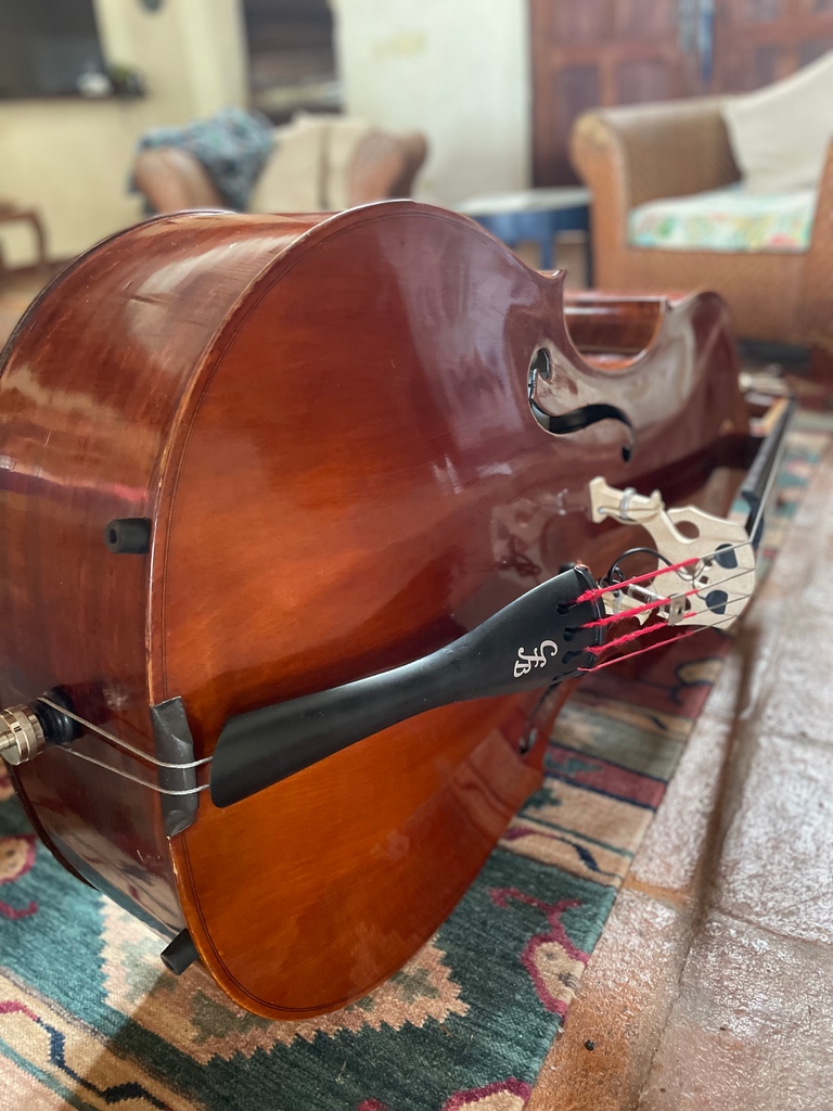 MangofishS's tweet photo. John McEuen and the Circle Band (John Cable, Matt Cartsonis, Les Thompson) just landed on shore in Los Santos. Fully expecting a week of exceptional music and filming at #mangofishstudios

#panama #bluegrass #country #americana #music #documentary  #WilltheCircleBeUnbroken https://t.co/0cxANtyypk