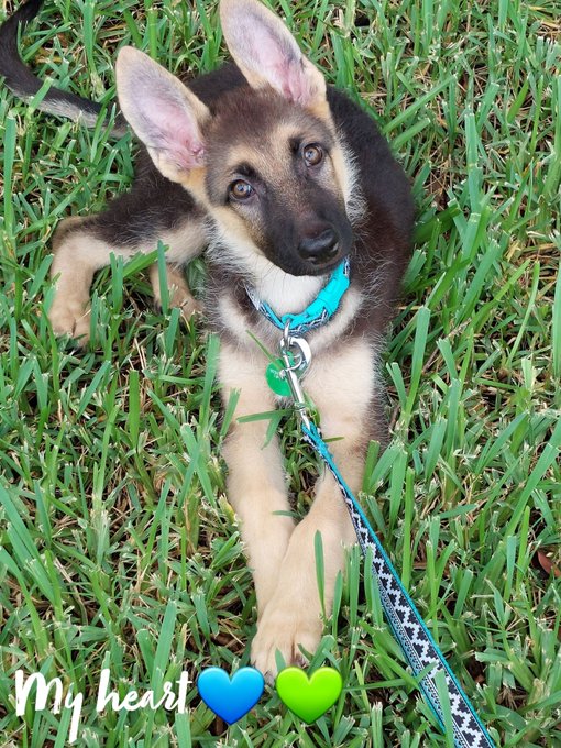 My day got away from me, but i will still be online tonight probably around 9 or 10. Also its my baby