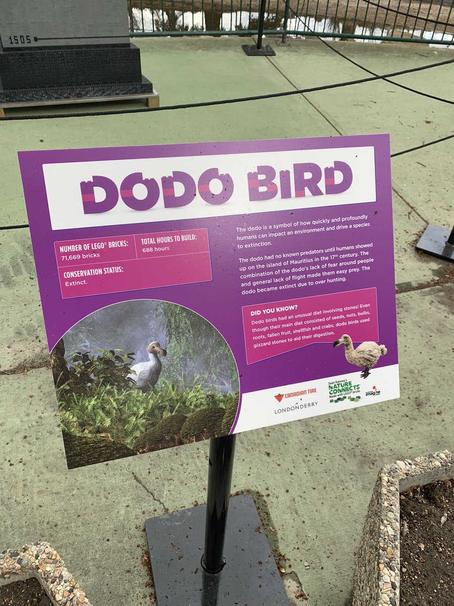 Down at the Edmonton Valley Zoo for the start of Sean Kenney’s “nature connects” lego sculptures unveiling! 13 in total!   They’re amazing!  Come check them out until sept 4.