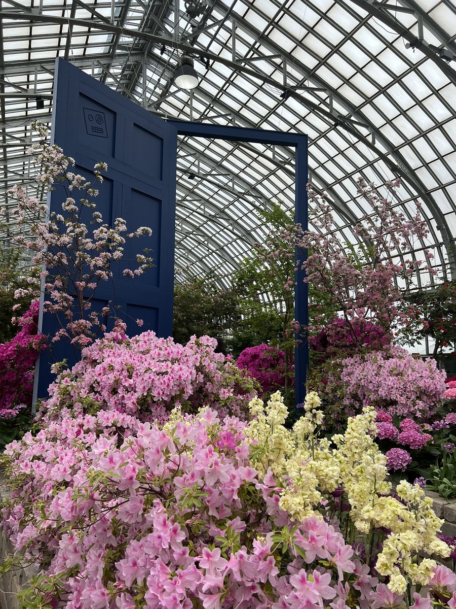 annaa_eth's tweet photo. Photo dump of booooootiful flowers https://t.co/Sm1K5ltqBJ
