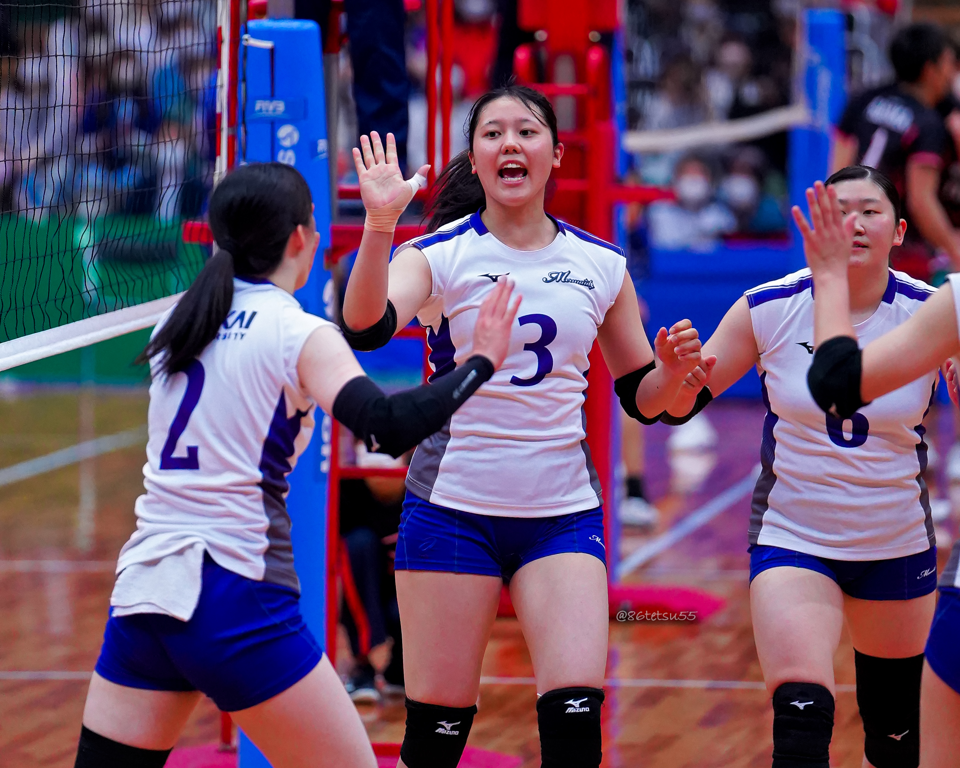 東海大学バレーボール部ポロシャツ 東海大学T-WAVE ウェブショップ / 東海大学ボタンダウンポロシャツ