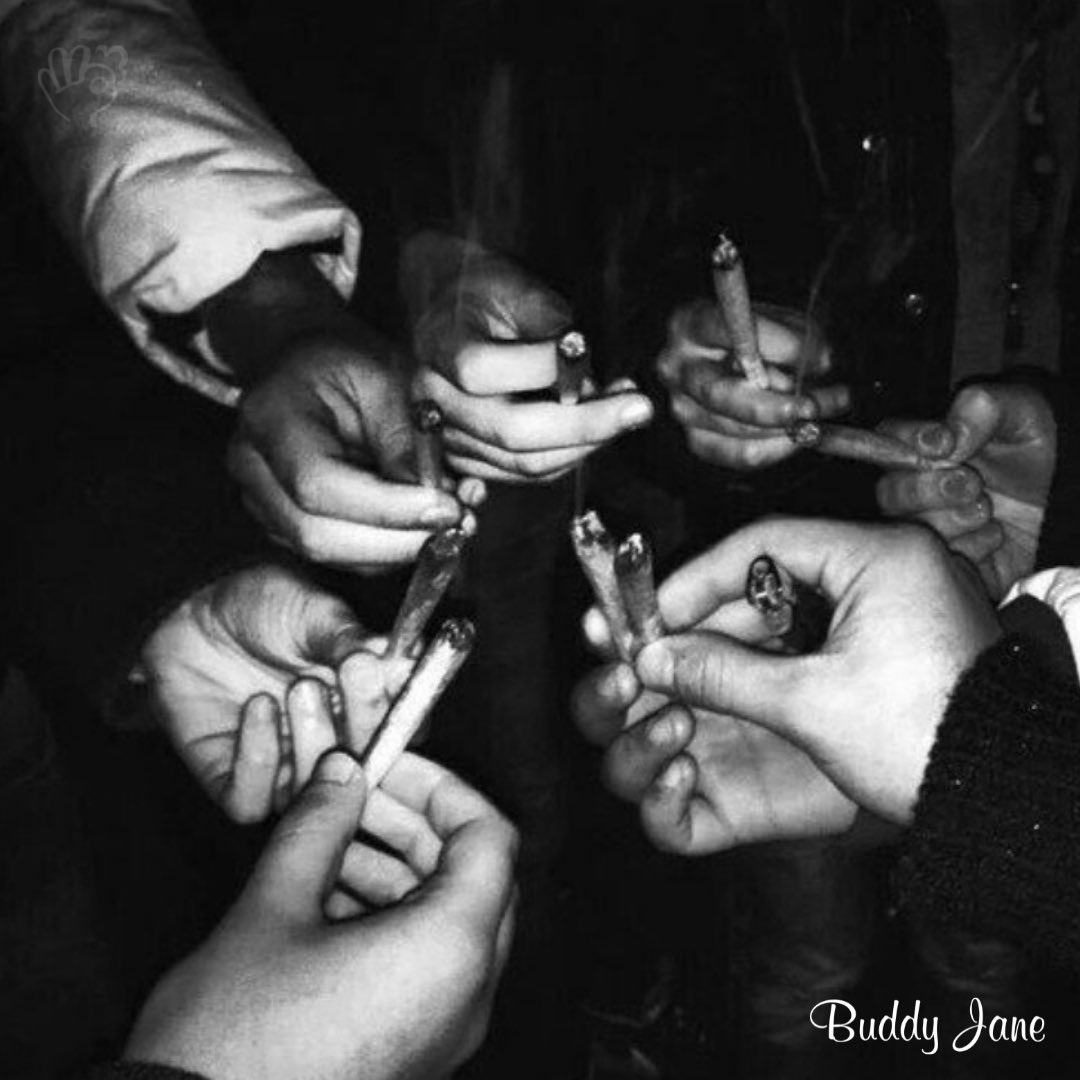 buddyjane's tweet photo. post 420
#post420
#buddyjane https://t.co/XkhlEEnvbd