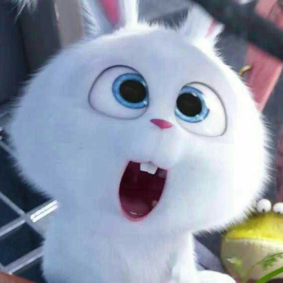 hrrysnow's tweet photo. bunny smile :D https://t.co/yGc8MZZT1z
