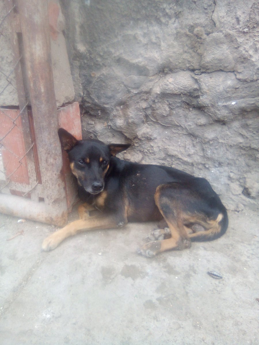 FAPRANIANZ's tweet photo. #REPORTAN #URGENTE Atropellado por la Urbanización Chuparin Central, se encuentra frente al mercado periférico en #PuertoLaCruz #Anzoategui, NO pude moverse!!! Inf al 04261819395 #Difunde #06Mayo https://t.co/540zjY2a5P