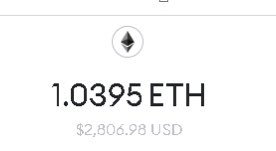 slayingpips's tweet photo. Lined up trades so I can get this done. One last thing to make sure that I’m certain that I’m putting my eth to work. Where is my 🐸🐸🐸 at? We got rated the best community last month! 750+ likes on this post and 750+ followers and I will sweep the floor 🧹
@ThePlagueNFT https://t.co/zkGacaqnIM