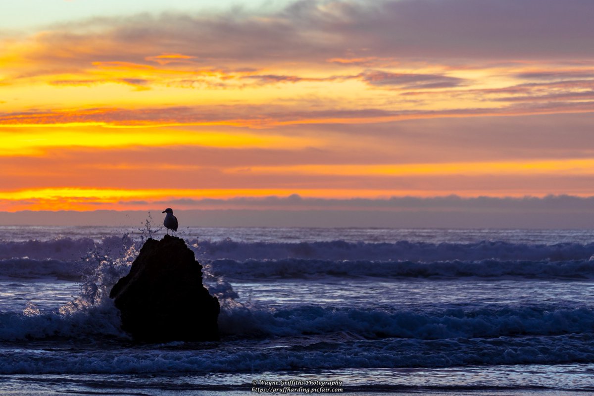 HardingGruff's tweet photo. This mornings outing #photographyislife #photographylovers #capture #moment #photographyisart #StormHour #dunedinnz #chrissalephoto #purenz #capturenz https://t.co/4HDLBnjMU8