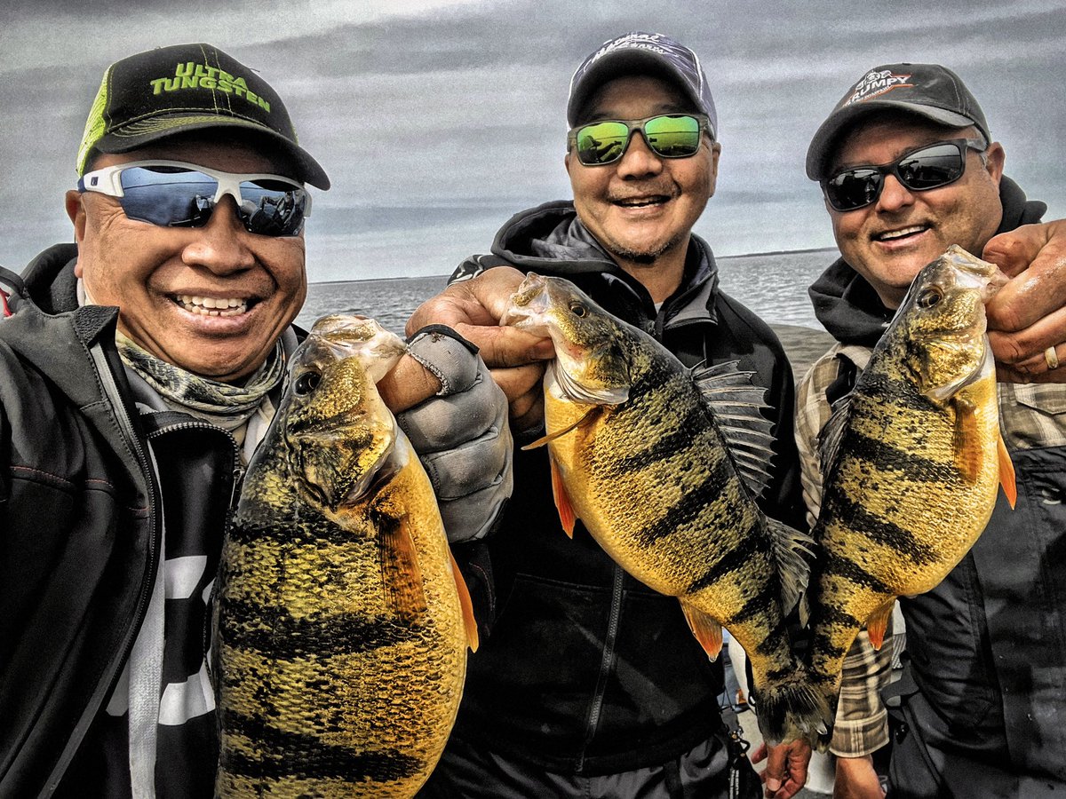 FishHardDave's tweet photo. What a great perch filled day! Got out with my former fellow Team Mexico member, Nelson Murakami from @NaturalSports & Martin Draeger from @grumpybaits and lay a beat down on some Lake Simcoe Jumbos! #GrumpyBaits #NaturalSports #UltraTungsten #VigorEyewear #StrikerBrands https://t.co/1mHxs0hQFW