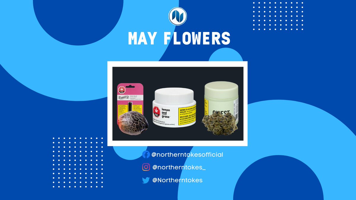 Northerntokes's tweet photo. 🌷SPRING HAS SPRUNG @ NORTHERN TOKES OSHAWA!🌷
From May 7th to the 29th, find great deals on items throughout the store! Like seeds to start your home grow as well as relief balm, and fine flower to help relax afterwards!👨‍🌾

Find it all right here ▶️ https://t.co/NHwiWKN3xQ https://t.co/Xs3c4pjc0A