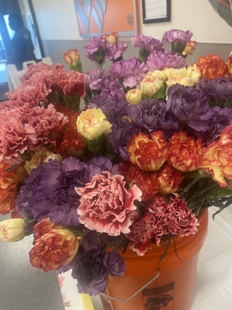 Mrs. Mcneil tweet media