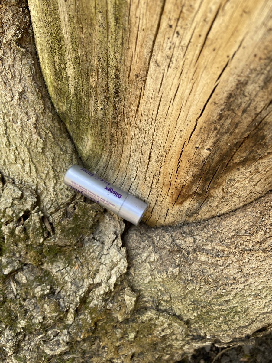 bastillelogan's tweet photo. nature is healing. chapsticks are returning to their natural habitats https://t.co/fHGN8pkX7e