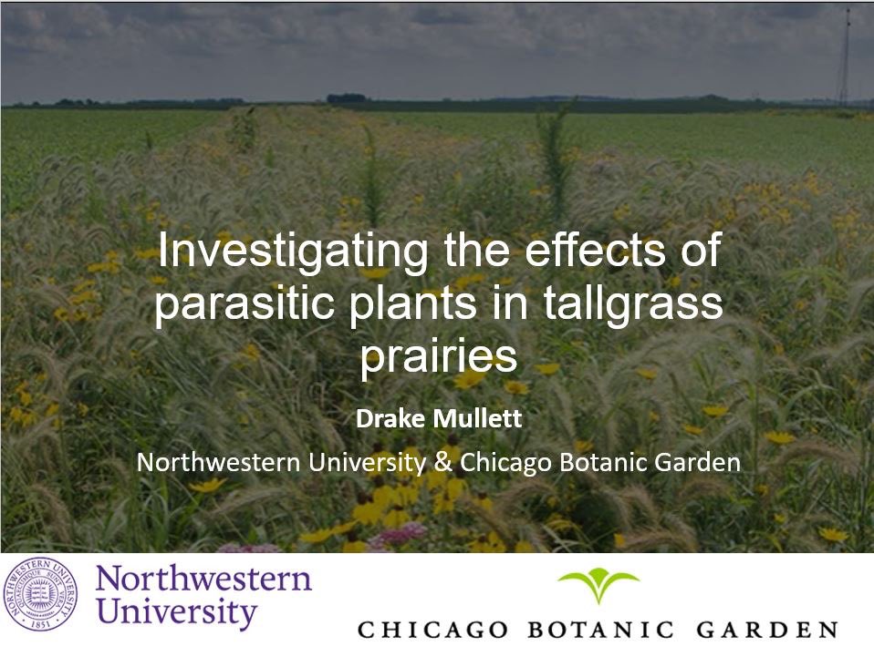 We had two team members give presentations today! <a href="/soph_e_chen/">Sophia 🧠</a> presented her work with Lilium and then <a href="/DuckHawkFish/">Drake E. Mullett</a> gave a seminar talk on his dissertation work with parasitic plants! Great talks all around! <a href="/LFCollege/">Lake Forest College</a> <a href="/NorthwesternU/">Northwestern</a> <a href="/PBCresearch/">Plant Biology and Conservation Program</a>
