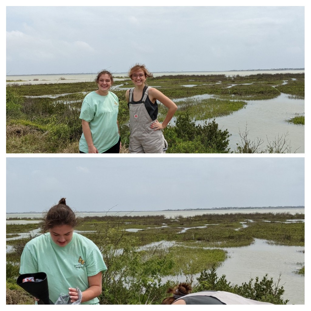 First fieldwork of the Lumibao Lab in the marshes a few weeks ago. With my two awesome undergrads