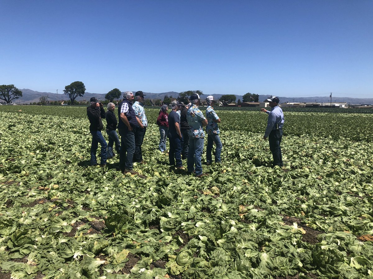 phsagmech's tweet photo. Petaluma FFA members got a great glimpse of the Salinas Valley’s produce production today from seedling to packing we covered it all! @Petk12schools @PetalumaHigh @karntz15 https://t.co/TOoj1VAoBe