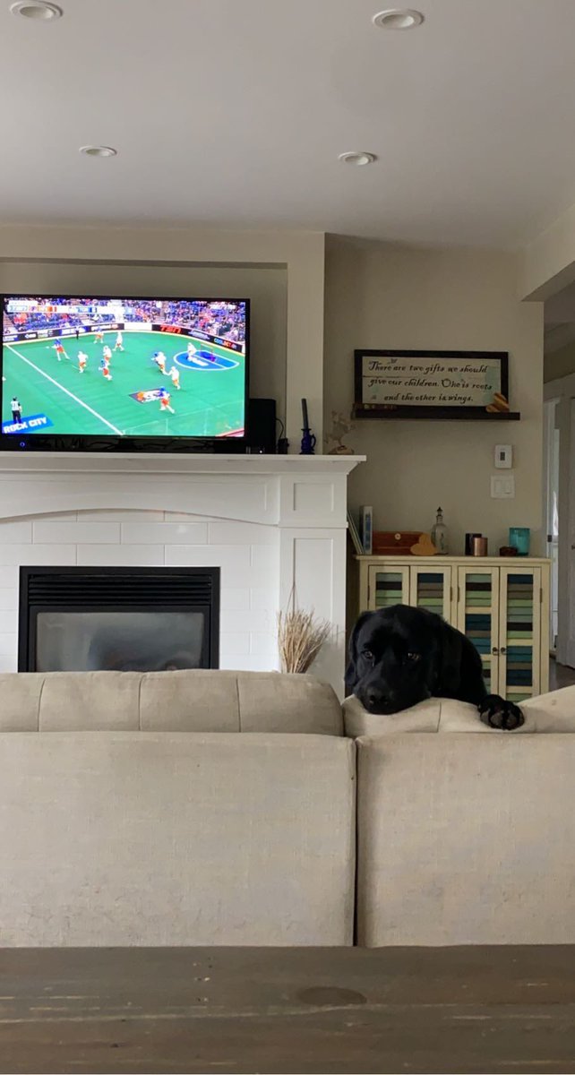 makijenner's tweet photo. Rocky is sad that @NLL playoffs is do or die tonight…. #inyourfeels https://t.co/LDPqrdKZw1