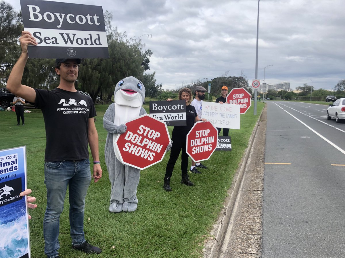 benhpearson's tweet photo. Outside ⁦@SeaWorldAU⁩ with Dolphin Freedom Fighters, ⁦@AngelaBanovic⁩, ⁦@animallibqld⁩ and @Act_4Dolphins protesting the ongoing captivity and suffering of dolphins and calling for a ban on breeding https://t.co/M2HOjTPGTi