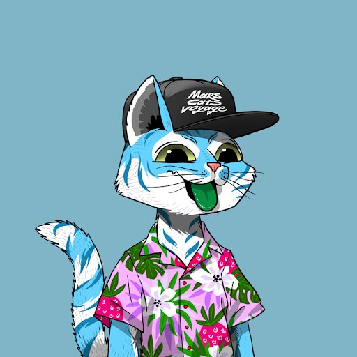 Bunkmeister.eth tweet media