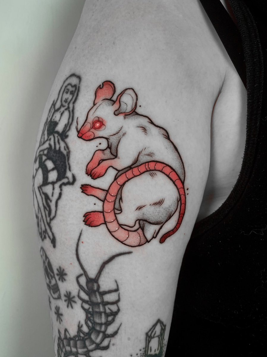 Xizeta_'s tweet photo. Ratty tat https://t.co/xIbjSVXxE3
