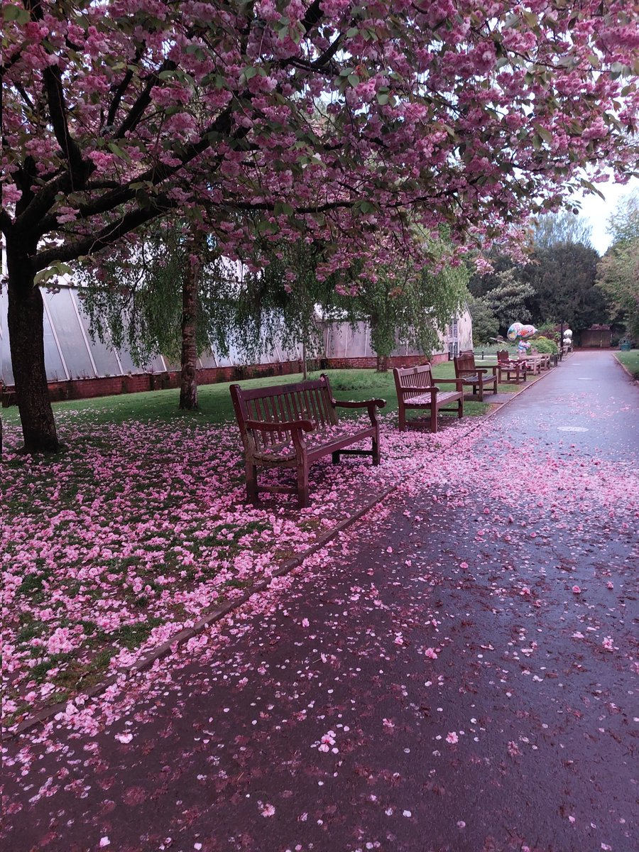 DimpleVerse tweet media