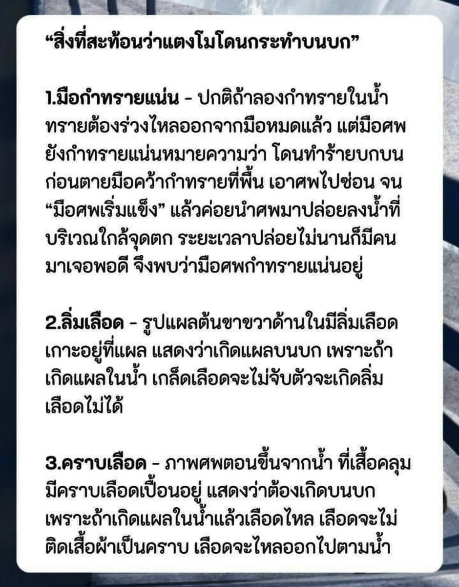 lion921100 tweet picture