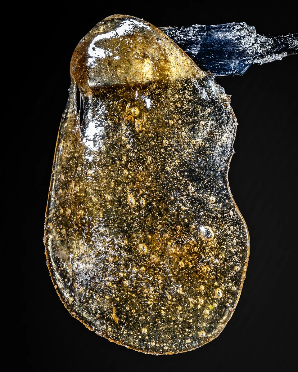 HouseHippoFarms's tweet image. Hermit cookies 70u Water Hash #CannabisCommunity #Waterhash #fullmelt #hash