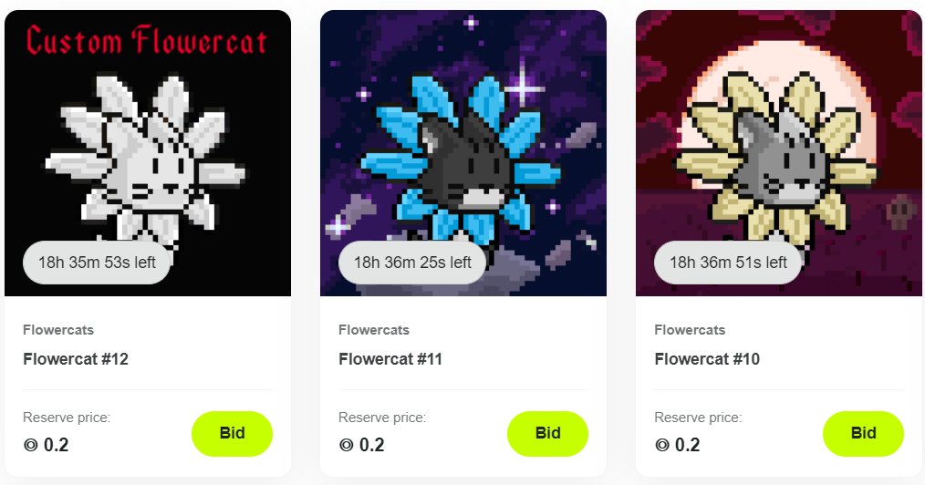 FlowercatsNFT's tweet photo. less then 20 hours left👀 https://t.co/eQaoovkia7