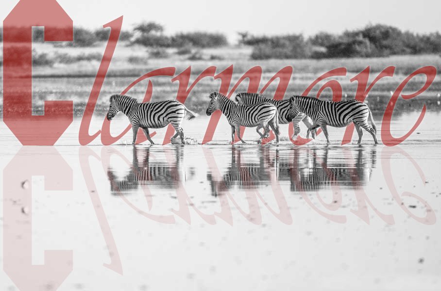 Claremore Football tweet media