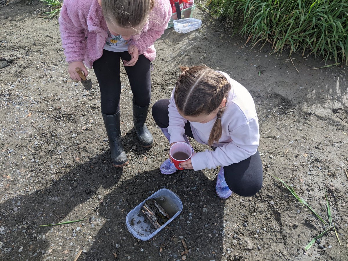 megswiebe's tweet photo. For today's @MatsquiElem trip to the 🏞️ students were challenged to collaborate &amp; construct 🦫 dams strong enough to stop the flow of 🌊. 
So grateful to have wonderful colleagues like @edavenport79 to make these learning opportunities possible. https://t.co/uxHKVKozBx