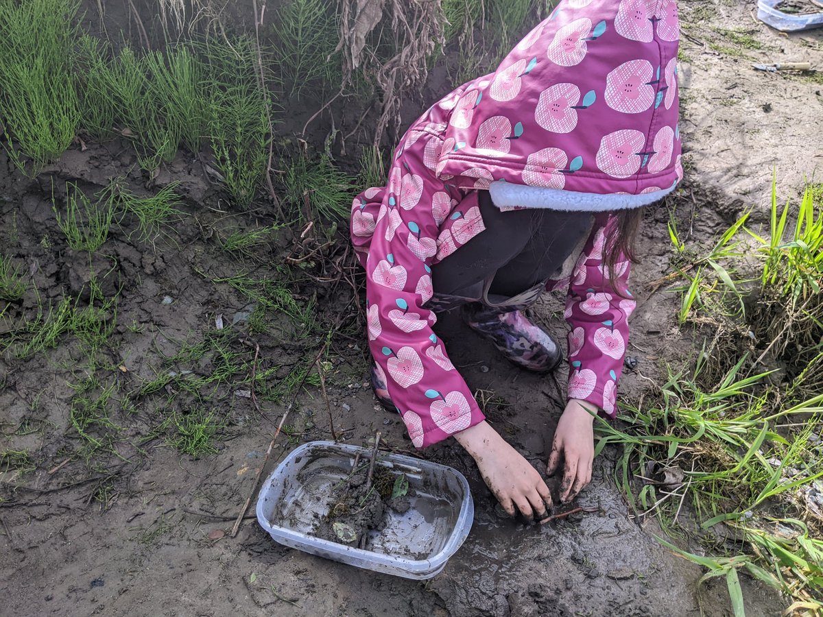 megswiebe's tweet photo. For today's @MatsquiElem trip to the 🏞️ students were challenged to collaborate &amp; construct 🦫 dams strong enough to stop the flow of 🌊. 
So grateful to have wonderful colleagues like @edavenport79 to make these learning opportunities possible. https://t.co/uxHKVKozBx