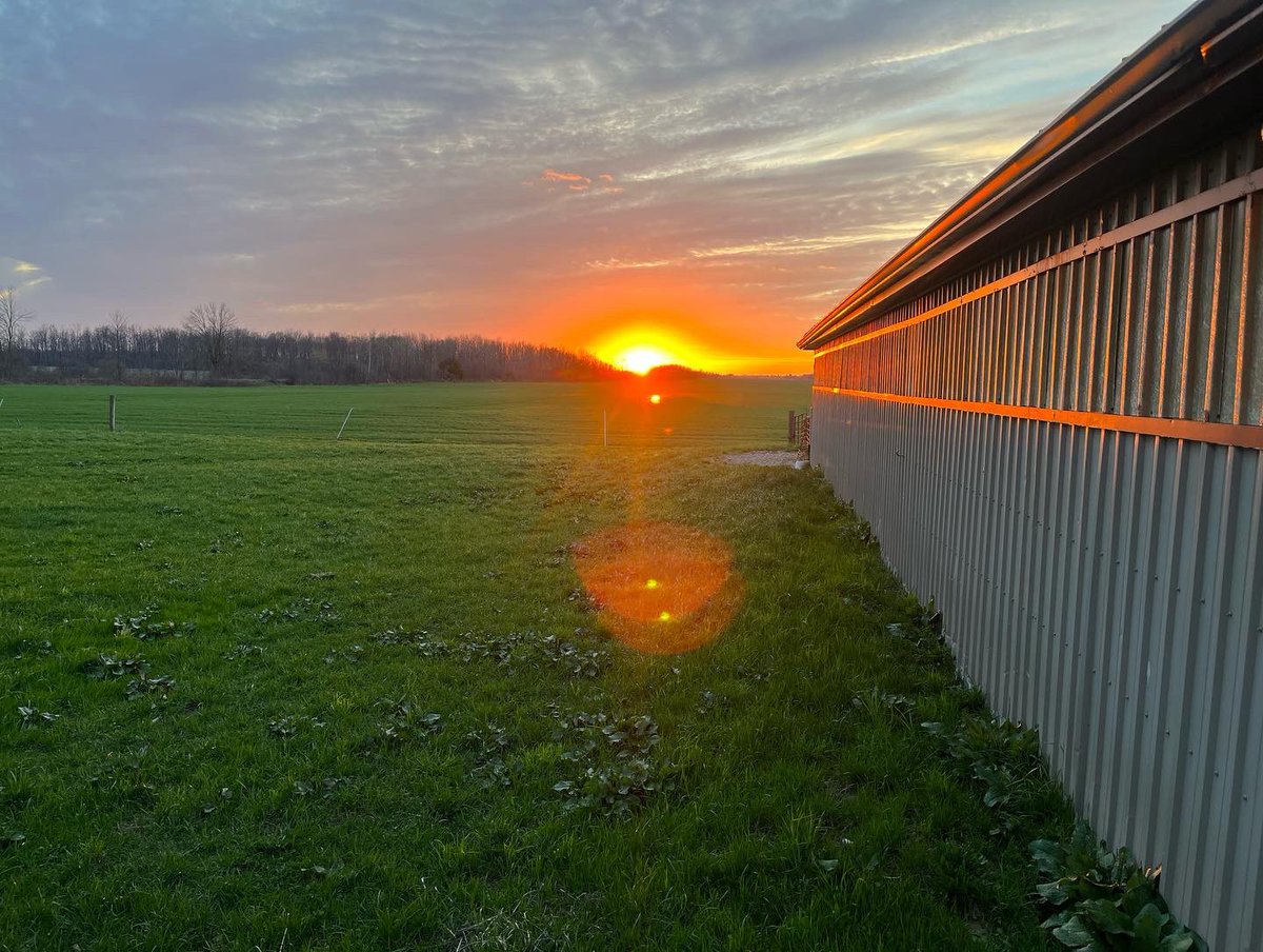 CedarGroveFarm's tweet photo. Late nights on the farm are a lot more tolerable when this is your view 😍
#countrysunset #welcometothefarm #ontariosheepfarmers #ag365 #agmorethanever https://t.co/zpJrJdehIh