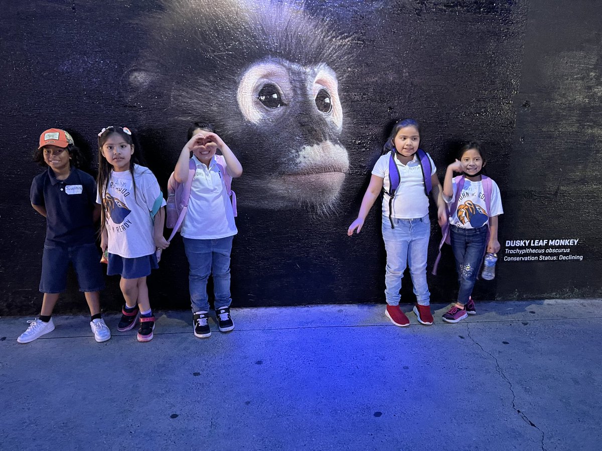 MsVasquez_'s tweet photo. 🫶🏼 @DallasZoo https://t.co/rDVJJPJ0nu