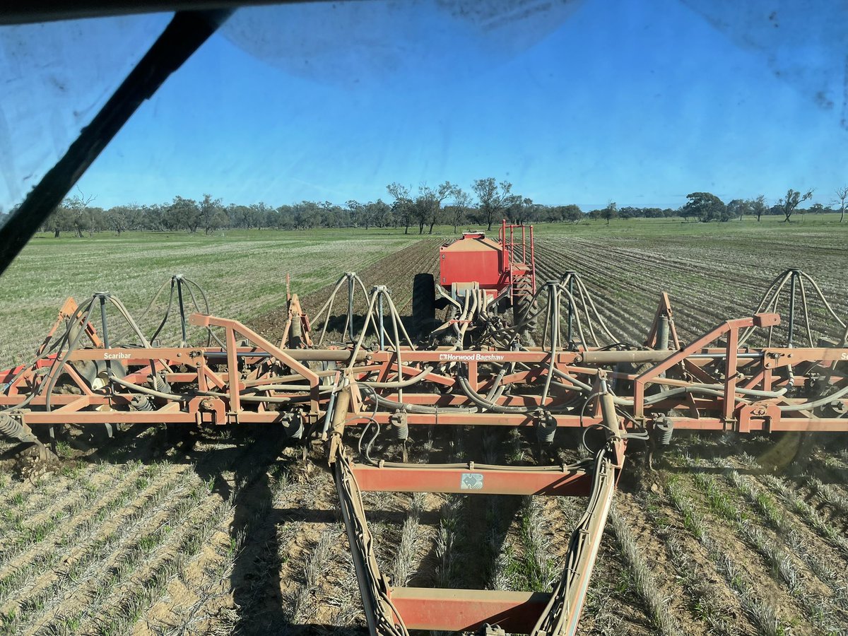 Billy Forrester tweet media