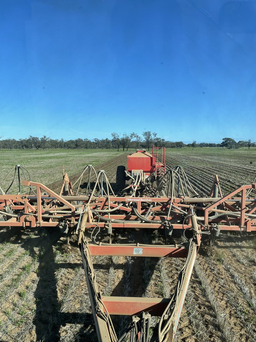 Billy Forrester tweet media