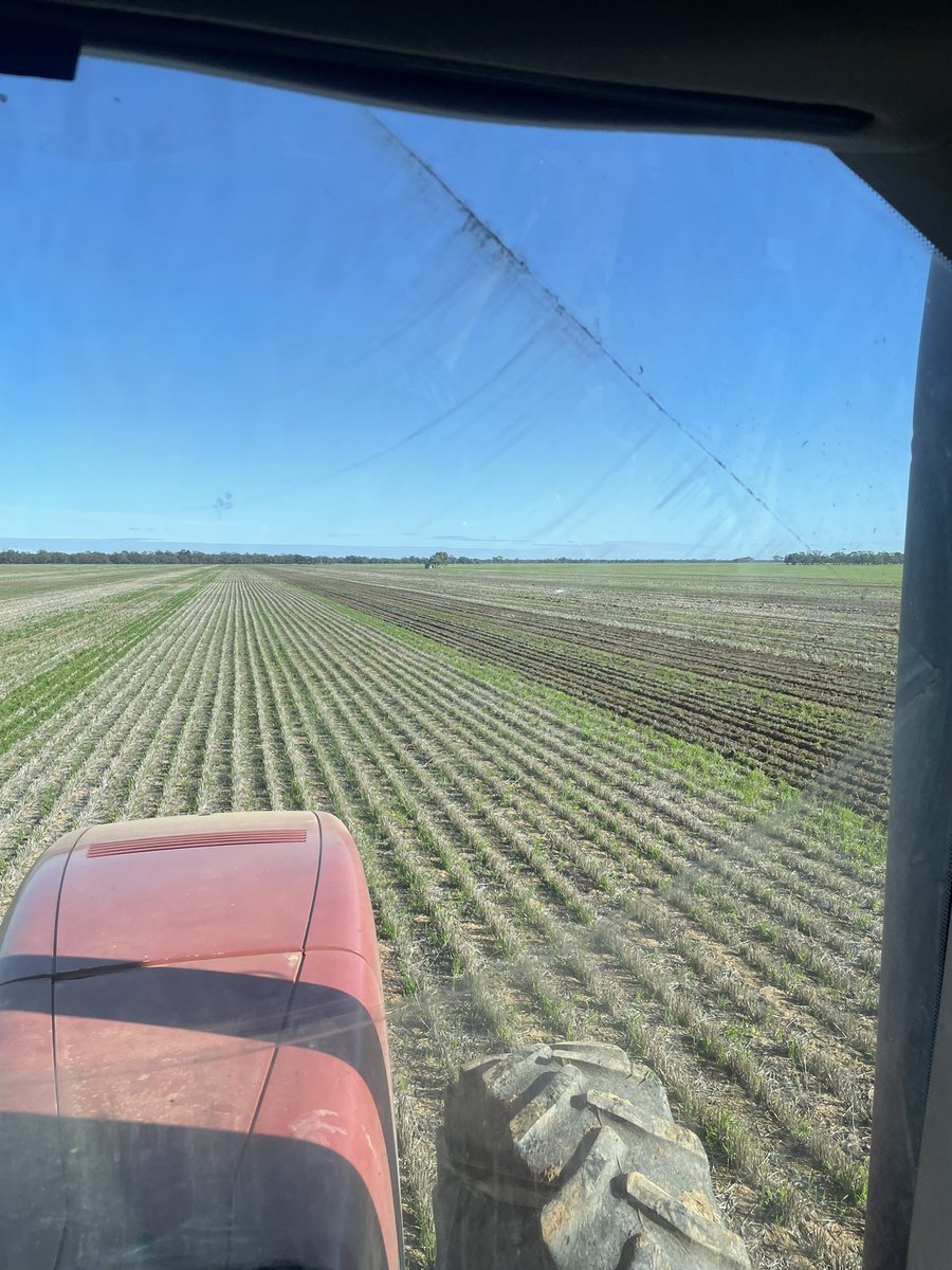 Billy Forrester tweet media