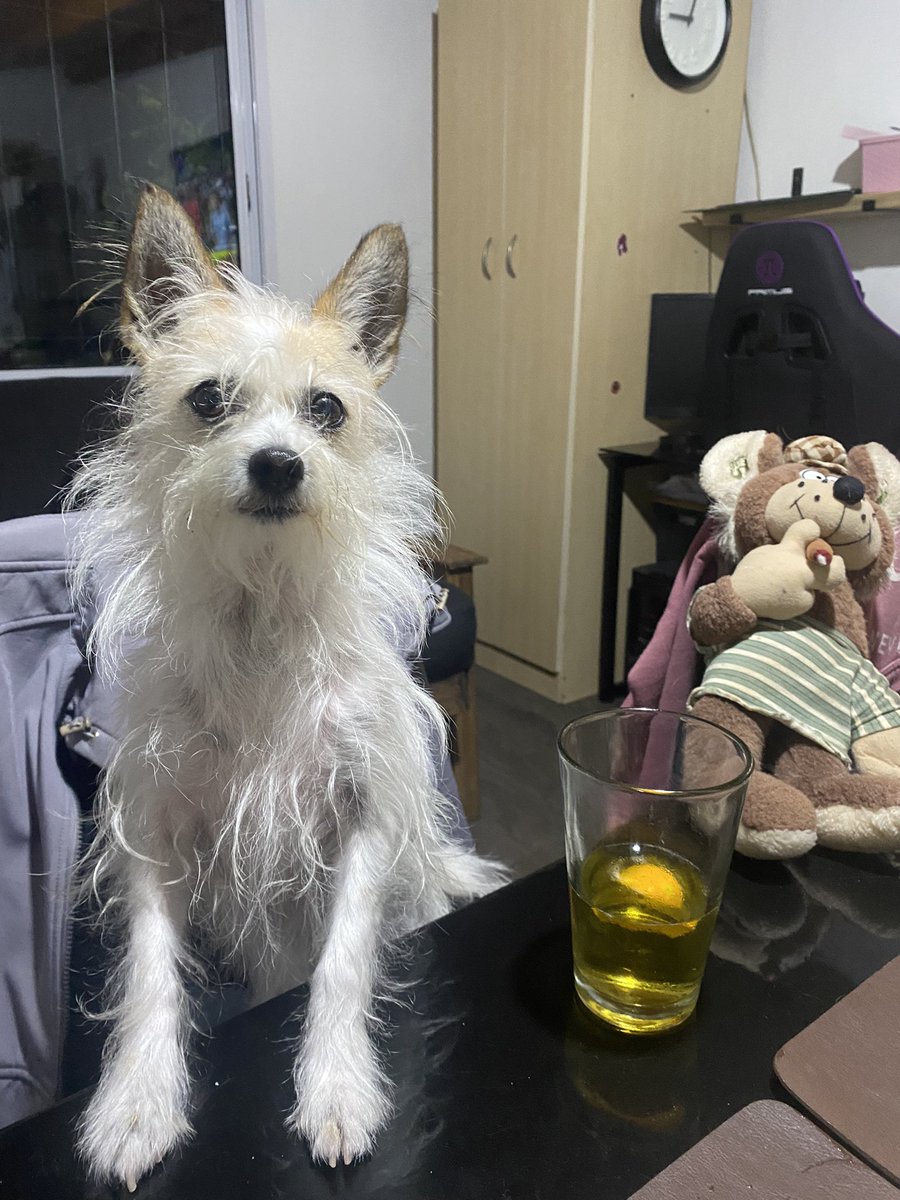 Poliya quiere “es mejor asi” de cc  #UnDinamoEsquizo <a href="/rock_pix/">El Gallo 🇦🇷⭐️⭐️⭐️</a>  <a href="/cuchicalderon/">Cuchi Calderón</a> <a href="/bbsanzo/">bbsanzo</a>