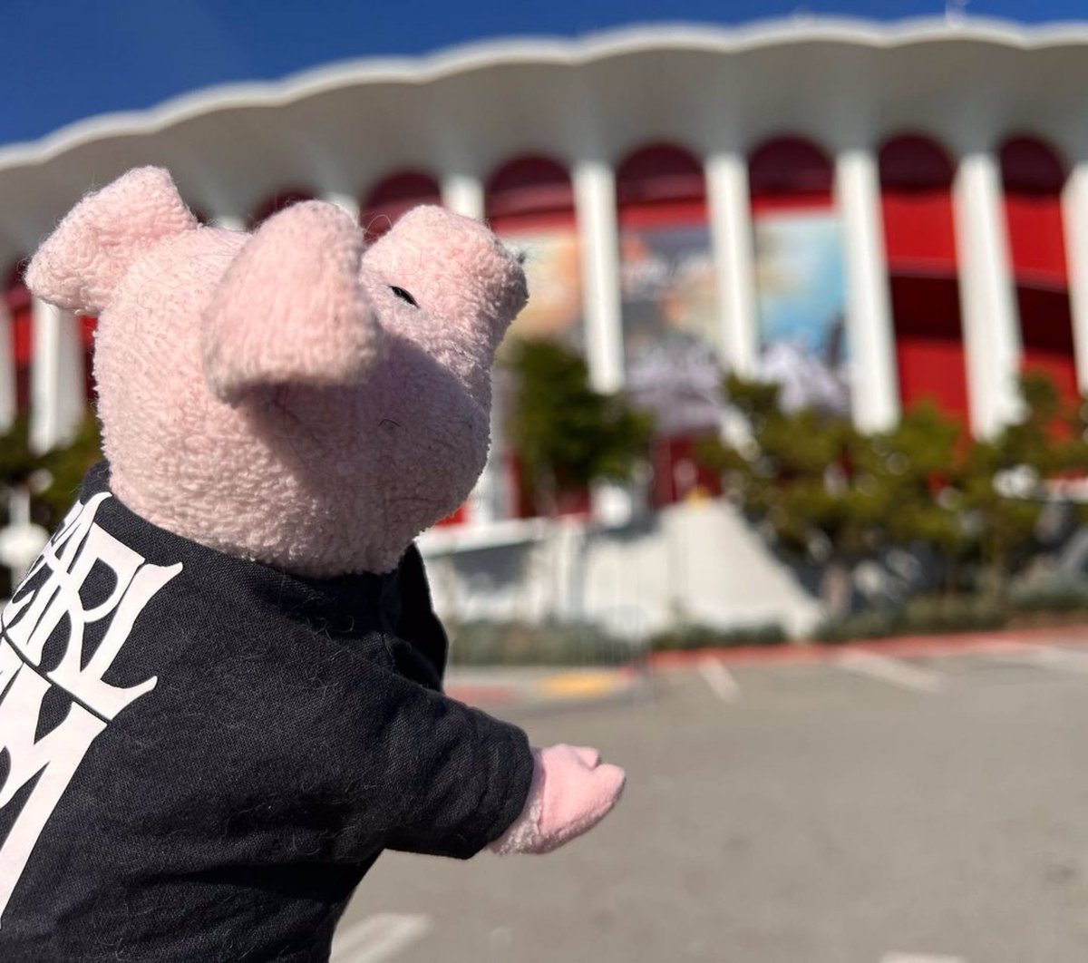 JeffAmentsArmy's tweet photo. #PJLA 2022
#Repost @piggy_does_life https://t.co/cswUtKw5r7