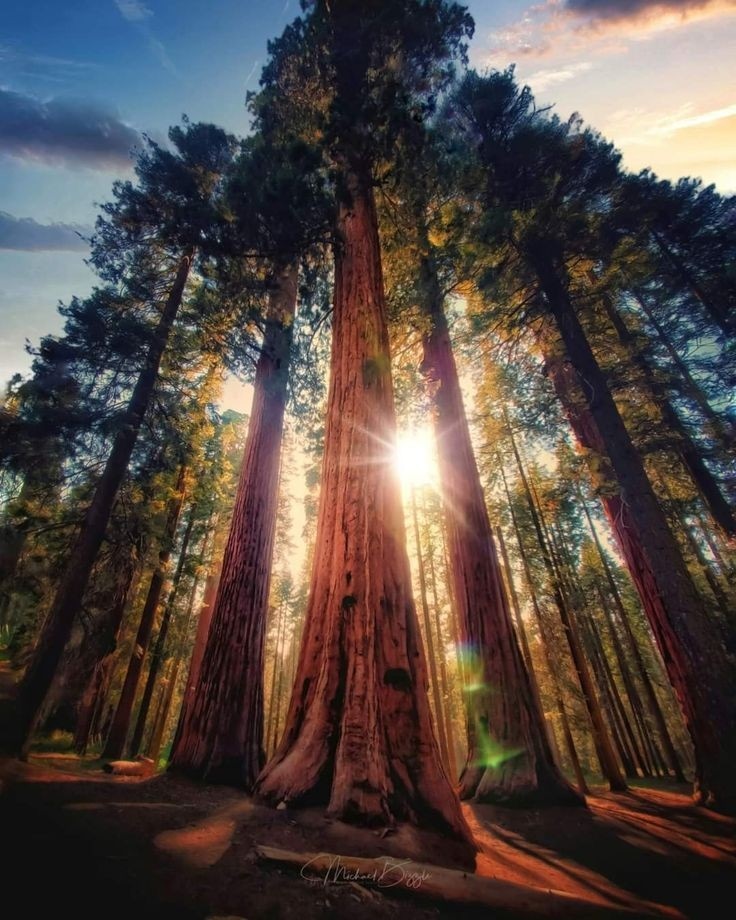 YourAnonRiots's tweet image. We are here to heal, not harm.
We are here to love, not hate.
We are here to create, not destroy.☮️♥️🕊️

- Anthony Douglas Williams
#quote